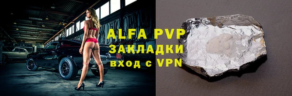прущие грибы Нягань