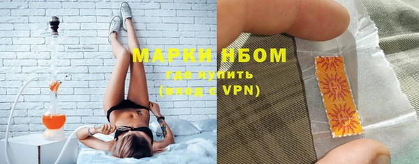 прущие грибы Нягань