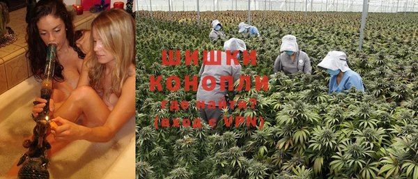 прущие грибы Нягань