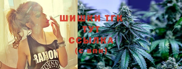 spice Няндома